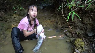 Poor girl. Harvesting fish in the wild lake go to the village sell - Alone survival in the forest