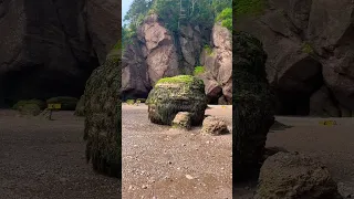 Hopewell Rocks, different view #getoutandexplore #nature