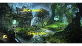 The Elder Scrolls III  Morrowind #1 Сейда Нин