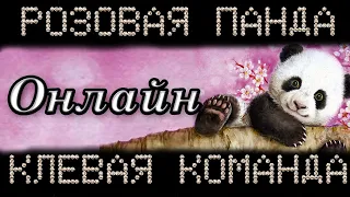 Алмазная мозаика. 🐼Розовая панда - клевая команда! 😍 ОНЛАЙН