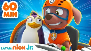 Paw Patrol | ¡1 HORA de grandes rescates animales! | Nick Jr. en Español