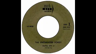 Enchanted Forist - Hung On U