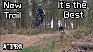 The Best Trail at Cannock Chase