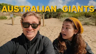 GREAT OCEAN ROAD | Part 2 (Otway National Park)