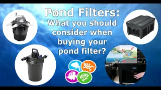 Pond Filters - What's important to consider?