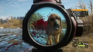 I Shot My Dog! Call Of The Wild.