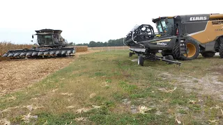 Harvesting Corn and Soybeans at the same time on the same farm | Bad idea?