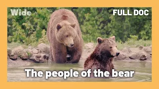 Romania's unique man-bear connection | WIDE | FULL DOCUMENTARY