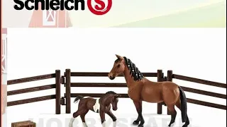 Клип лошади 🐎  Шляйх ￼