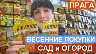 ВЕСЕННИЕ ПОКУПКИ ДЛЯ САДА И ОГОРОДА |МЕГА ПОМИДОРЫ| САДОВЫЙ ЦЕНТР ХЛАДЕК ПРАГА. САДОВОДСТВО В ЧЕХИИ