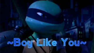 [TMNT AMV] Leonardo - Boy Like You (For Asuna Hamato)