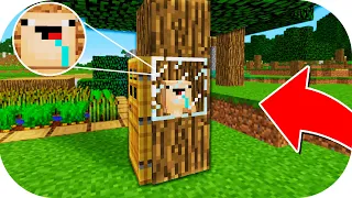 BEBE NOOB CONSTRUYE UNA BASE SECRETA DENTRO DE UN ARBOL 😱 BASE SECRETA NOOB MINECRAFT TROLL