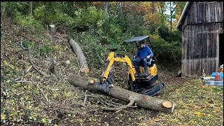 Clearing trees around an OLD barn with a Chinese mini excavator