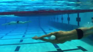 Swimming Technique - Dolphin Kick Compilation