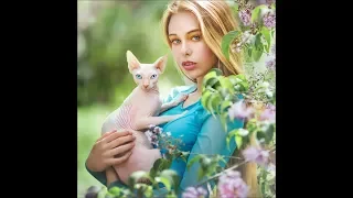 Приколы с котами подборка топовых приколов до слёз 2019№8!funny cats 2019!