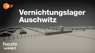 Vernichtungslager Auschwitz: 3D-Modell vermittelt die schrecklichen Dimensionen