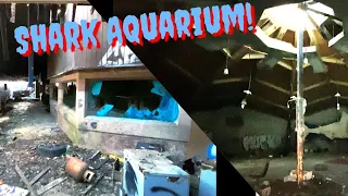 Abandoned Shark Aquarium