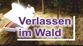 Verlassen im Wald - die Eiskönigin 2 - Studio versinkt im Wald! - cover by DJ Fil