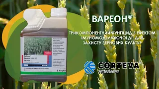 Вареон фунгіцид для пшениці та ячменю (Corteva) - оригінальне пакування, застосування препарату.