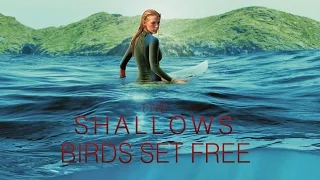 Birds Set Free- Sia (The Shallows Movie OST) + Download