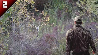 First Buck Sighting! - Deer Season 2022