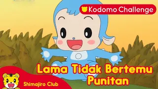 Shimajiro | Pendidikan Anak | Lama Tidak Berjumpa, Punitan Ep.81.1 - Kodomo Challenge