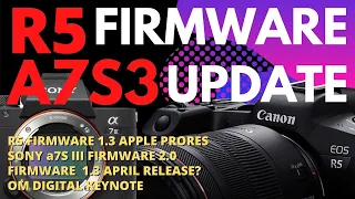 Canon Firmware 1.3, New Codecs, a7S III firmware!