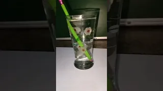 Pencil appear bend in water || Refraction of light experiment||