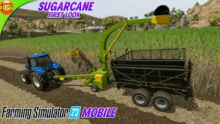 First Look of the New Crop Sugarcane in Farming Simulator 23 Mobile! fs23 update