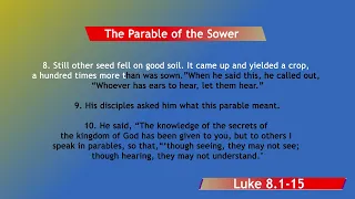 The Parable of the Sower - Luke 8 : 1 - 15  #biblestudy