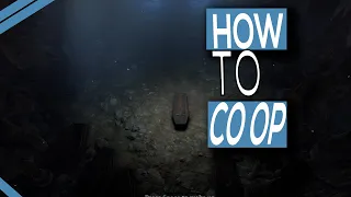 How To Co Op In V Rising