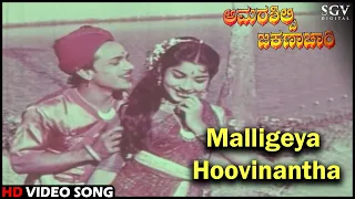 Malligeya Hoovinantha | Amarasilpi Jakanachari | Kannada Video Song | Kalyankumar, B Sarojadevi