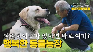 [동물극장 유튜브 오리지널] 가정집에 60여 마리의 동물이 산다!? 치열한 도시의 삶을 내려놓고 시골 마을로 온 노부부 | 동물극장 단짝 EP31 | KBS 220917 방송