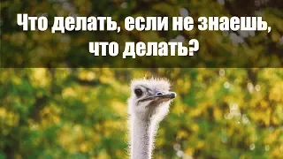 Что делать, если не знаешь, что делать?