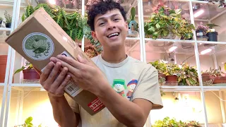 Etsy Shop Rare Houseplants Unboxing! Planty Haul & Repotting 🪴 The Green Escape