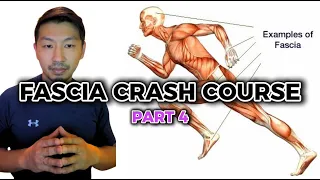 Introduction to Fascia Training Crash Course Part 4 of 4 | Hyperarch Fascia Training