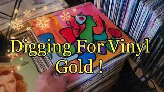 Digging For Vinyl Gold ! Let's See How I Did !  Vinyl Community