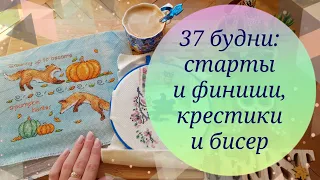 37 будни: СТАРТЫ и ФИНИШИ, КРЕСТИКИ и БИСЕР | Вышивка крестом