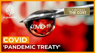 Will rich nations foot the bill for a global 'pandemic treaty'? | Counting the Cost