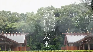 【大雨の浄化と道を示す神・宗像三女神】宗像大社の大雨の音を聞くだけで心身浄化とチャクラ活性化できるパワースポット自然音 【瞑想 作業 勉強 集中 リラックス】Purifying rain sounds