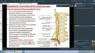 Autonomic Supply of the Head and Neck - Dr. Ahmed Farid