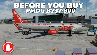 PMDG B737-800 - BEFORE YOU BUY | My thoughts