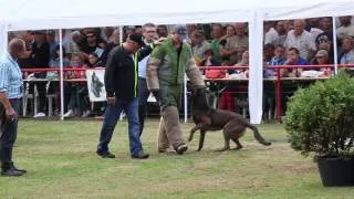 Belgian ring-3. Paal-2013. Macho, convoy