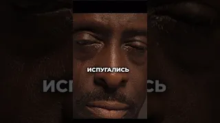 Испугались и пожалели 🤯