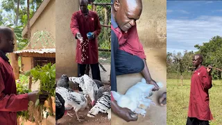 A 58 year old retired barista in an African Village - Spend a day in my farm with poultry & Animals