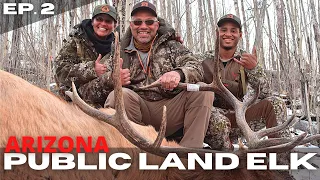 Dad Hammers A Big AZ Bull Elk! | Arizona Rifle Elk Hunt - EP 2