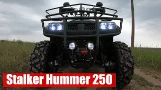 Stalker Hummer 250. Обзор квадроцикла, плюсы и минусы модели