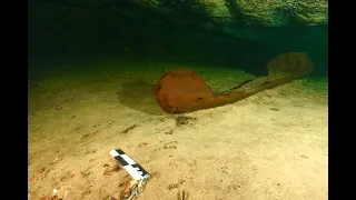 Hallazgo de canoa prehispánica en tramo 4 Tren Maya