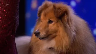 Britain's Got Talent 2022 Dr Louise & "Singing" Dog Jasper Audition Full Show w/ Comments S15E02