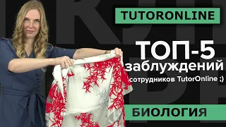 ТОП-5 заблуждений сотрудников TutorOnline